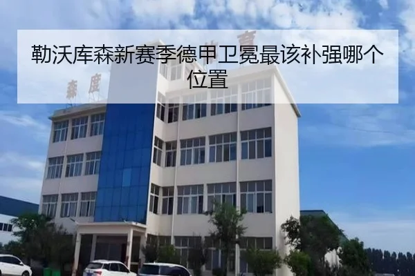 勒沃库森新赛季德甲卫冕最该补强哪个位置